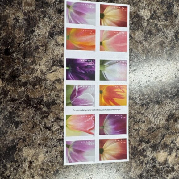 US 2023  Tulip Blossoms Forever Stamps (1000 stamps) - Picture 9 of 9